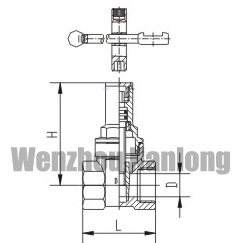 Full Port Gate Valve With Lock